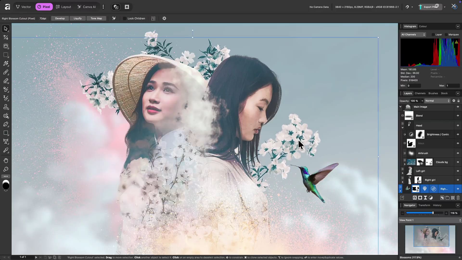 Affinity Photo image editing software