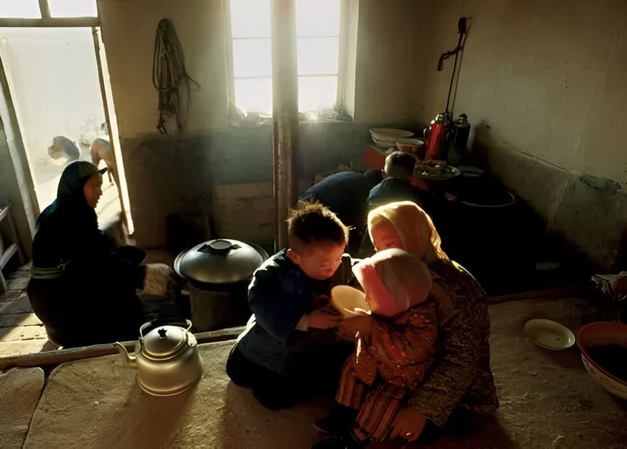 photography tip backlighting