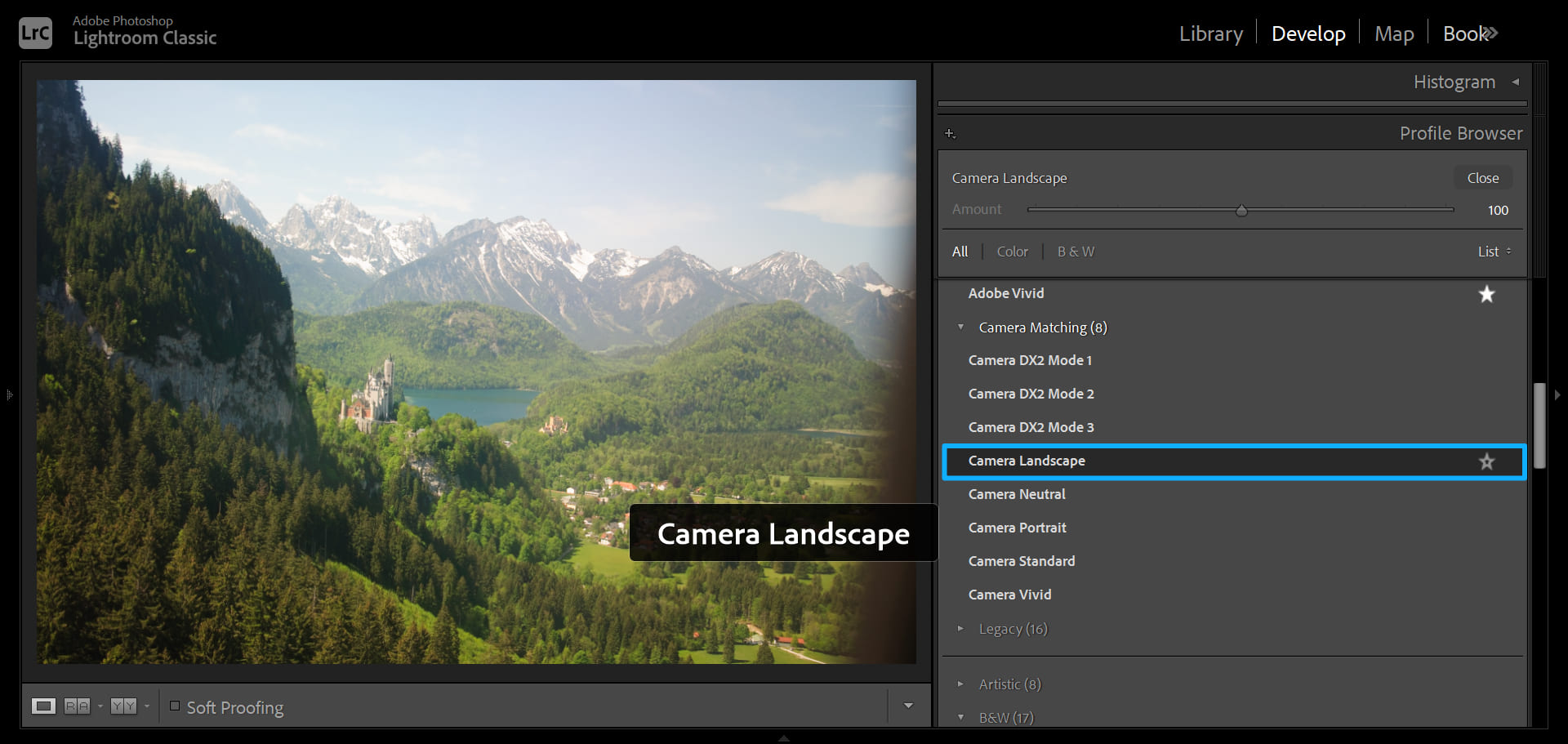 basic correction photo editing