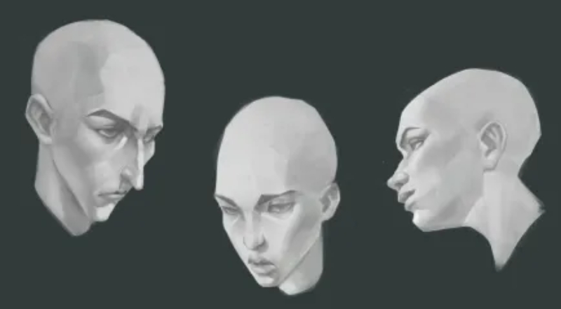 basic structure of heads