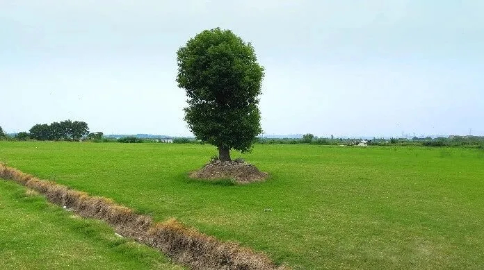 DaVinci Resolve color grading