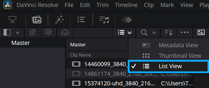 davinci resolve media pool list view