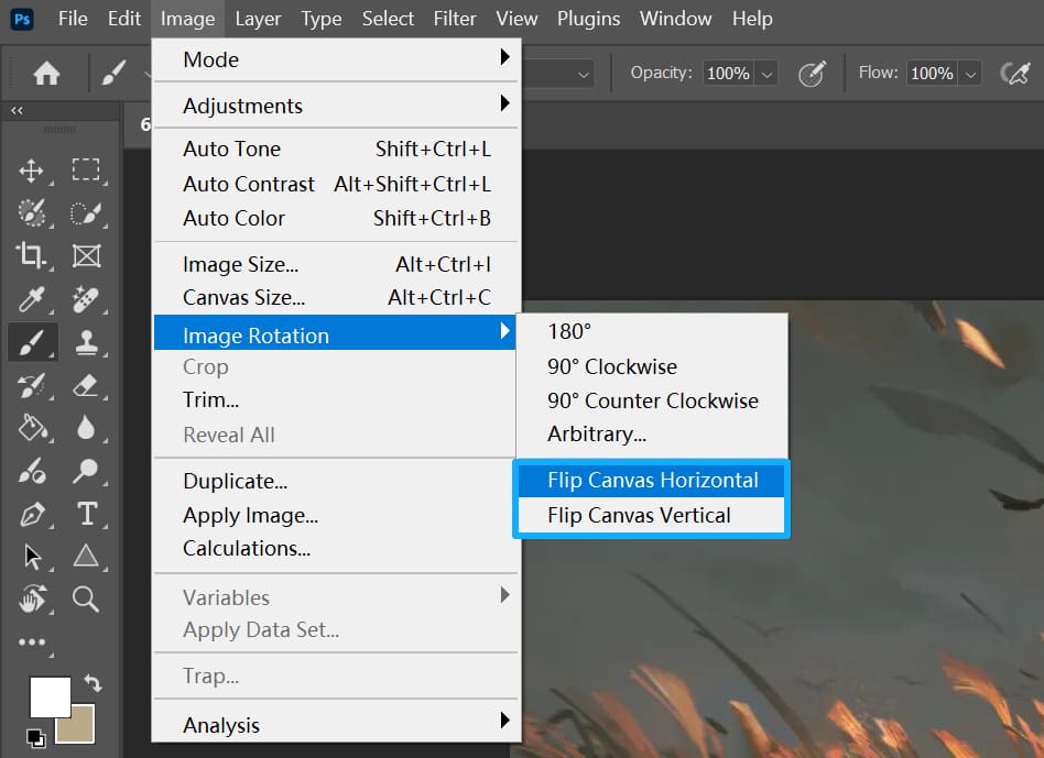 flip canvas horizontal vertical