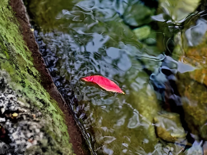 how to balance color in photography