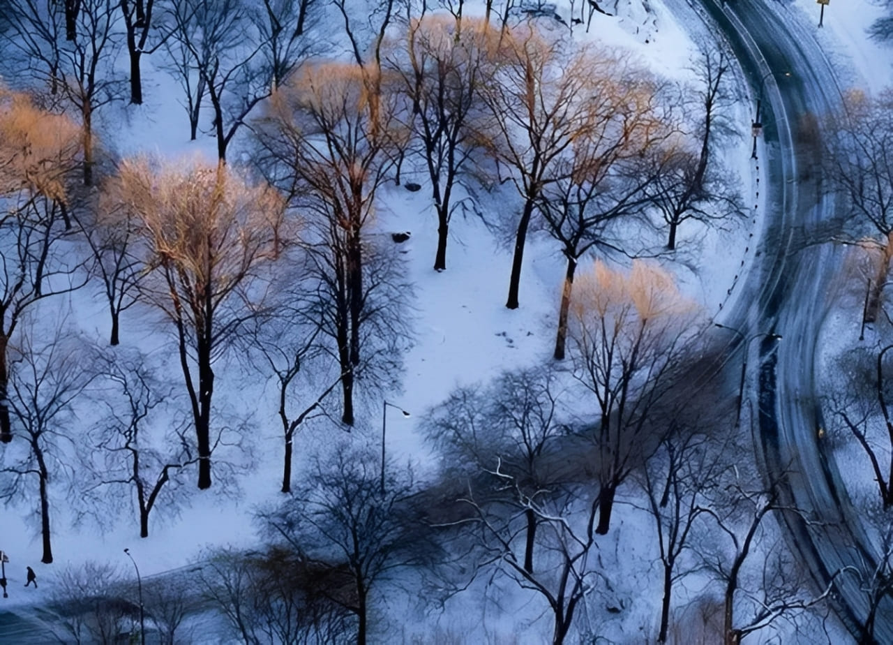 how to capture the light in Photography