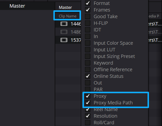 how to check DaVinci Resolve proxy media