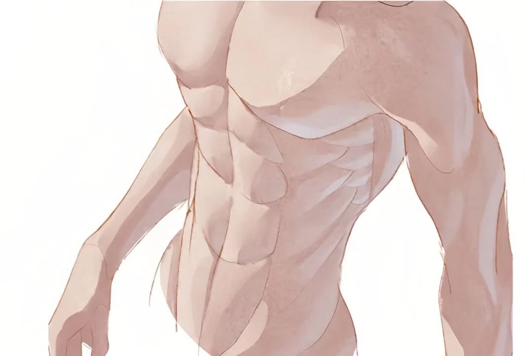 how to colorize torso