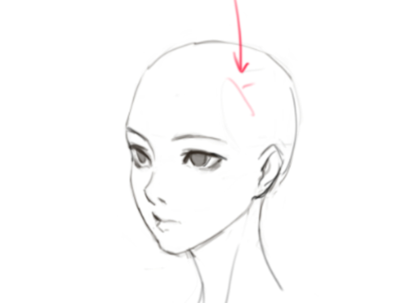 how to draw hair structure
