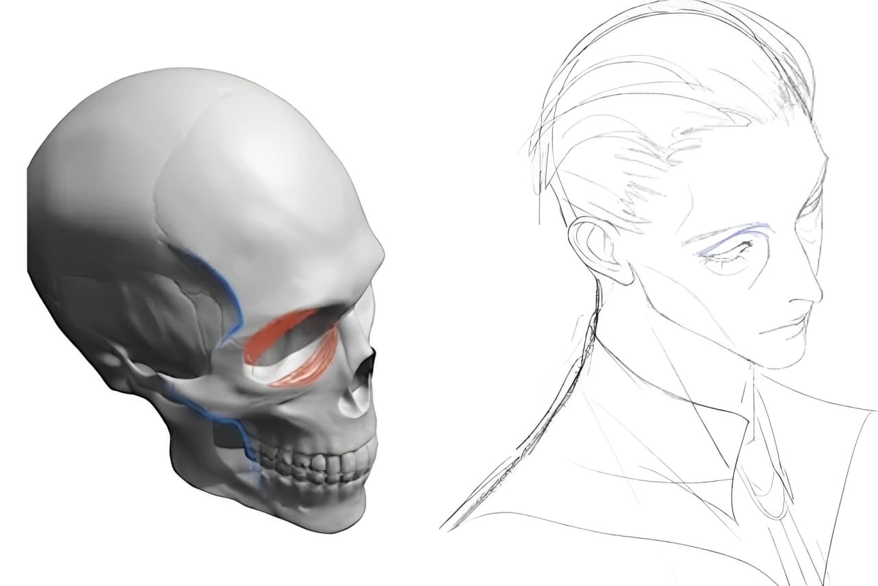 how to draw old man eye area