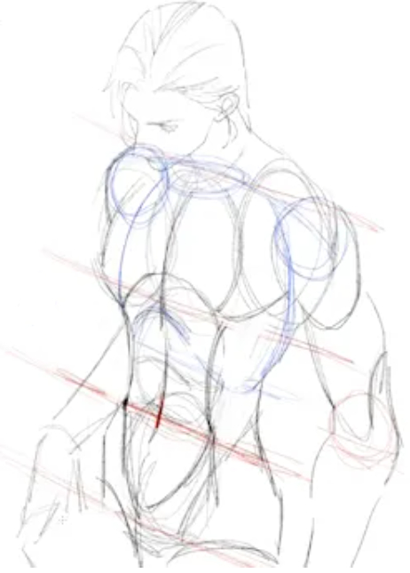 how to draw upper body