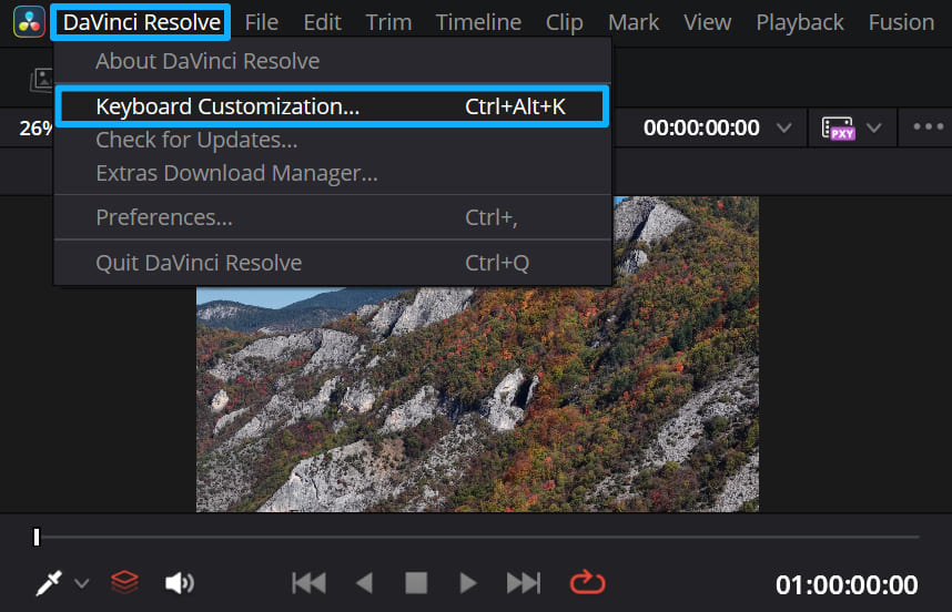 how to open keyboard customization DaVinci Resolve