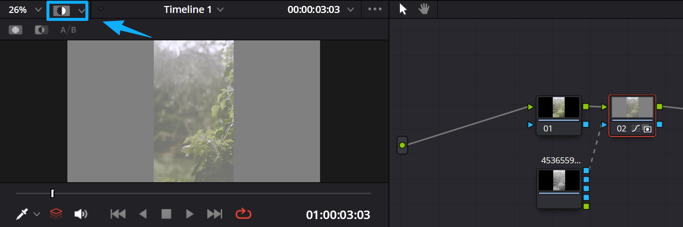 how to show highlight DaVinci Resolve