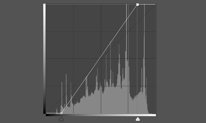 how to use curve tools digital art