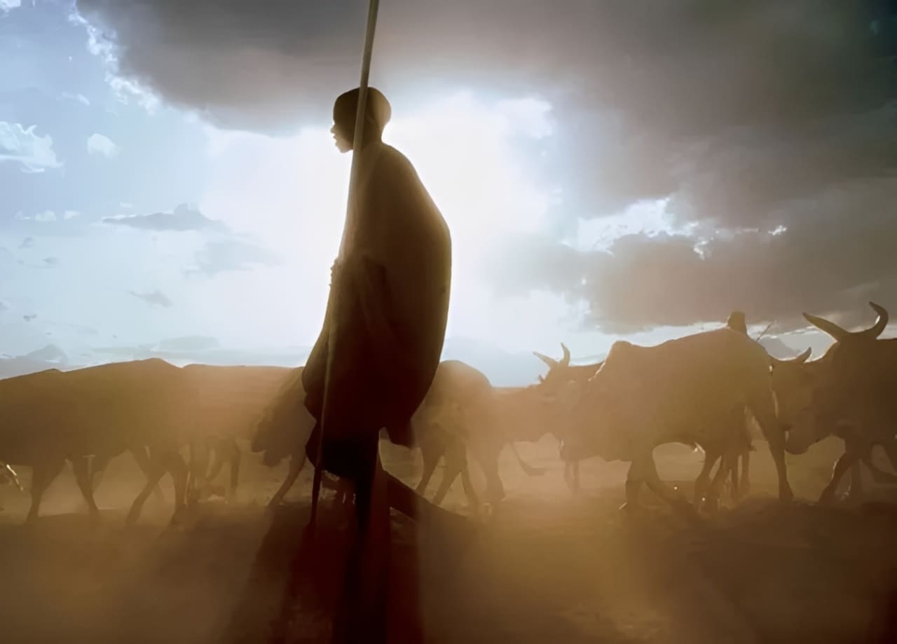 how to use light in photography