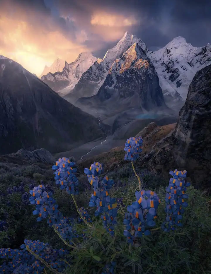 landscape and photography