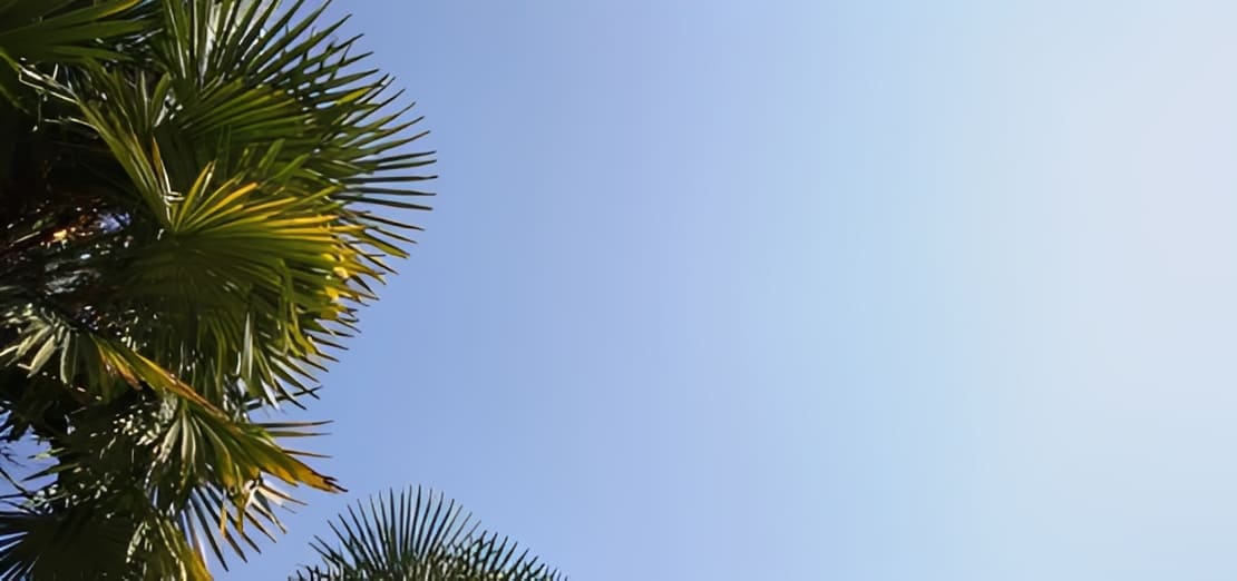 object removal in DaVinci Resolve