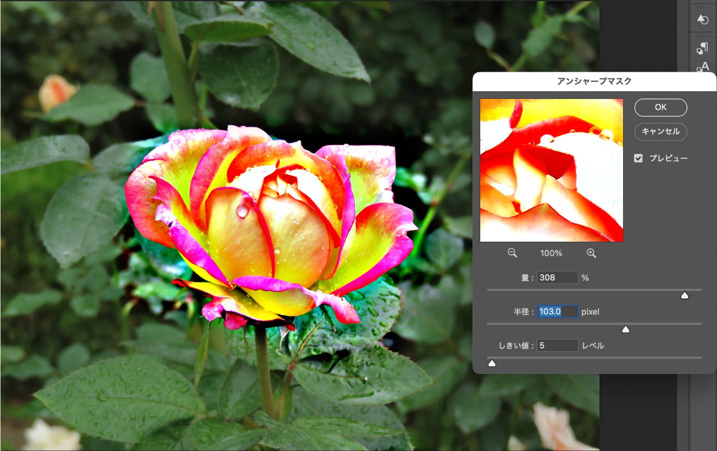部分にシャープをかける