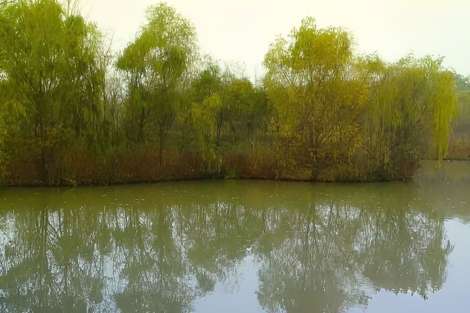 yellow filter in color photography