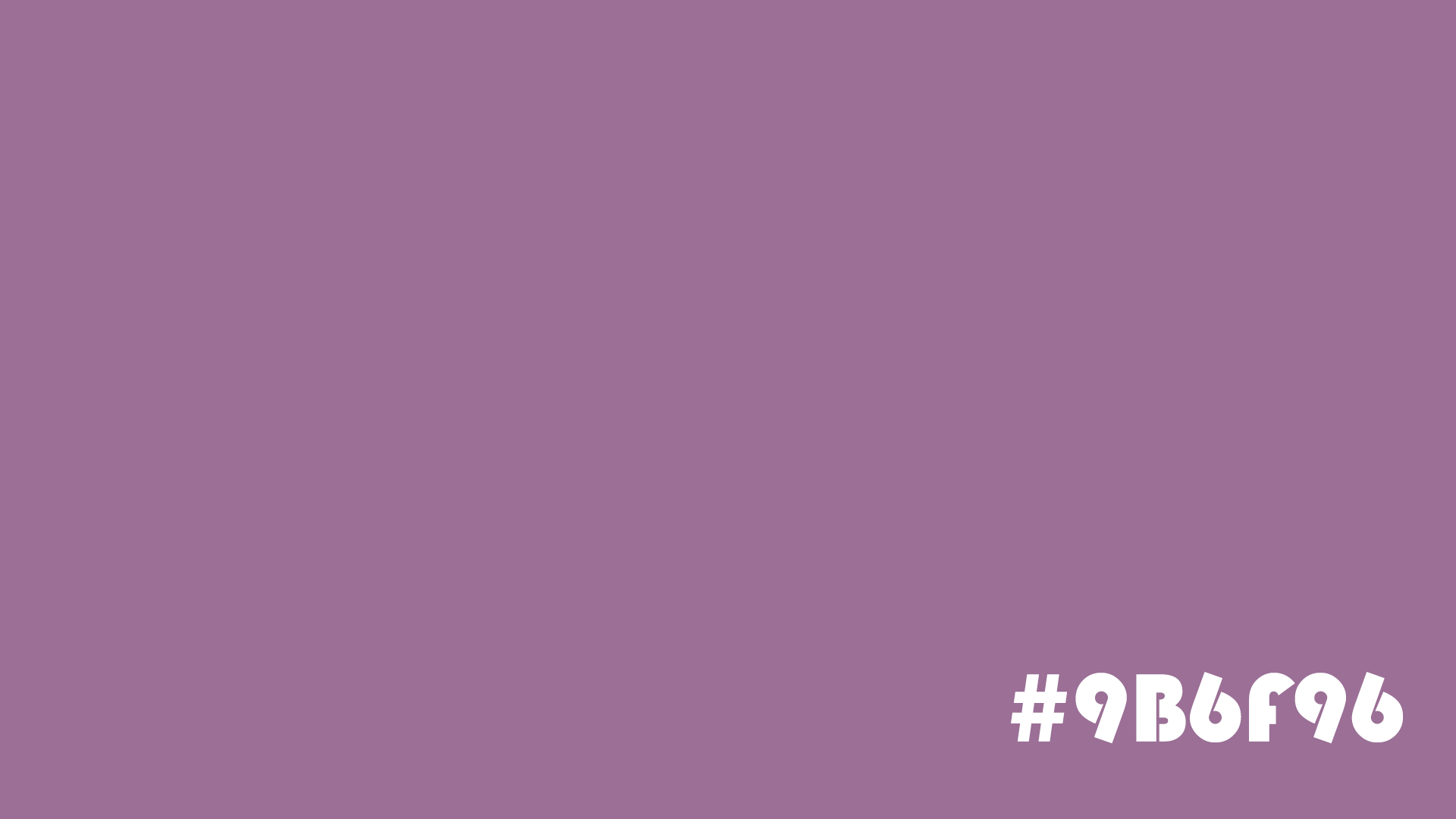 Aster Purple