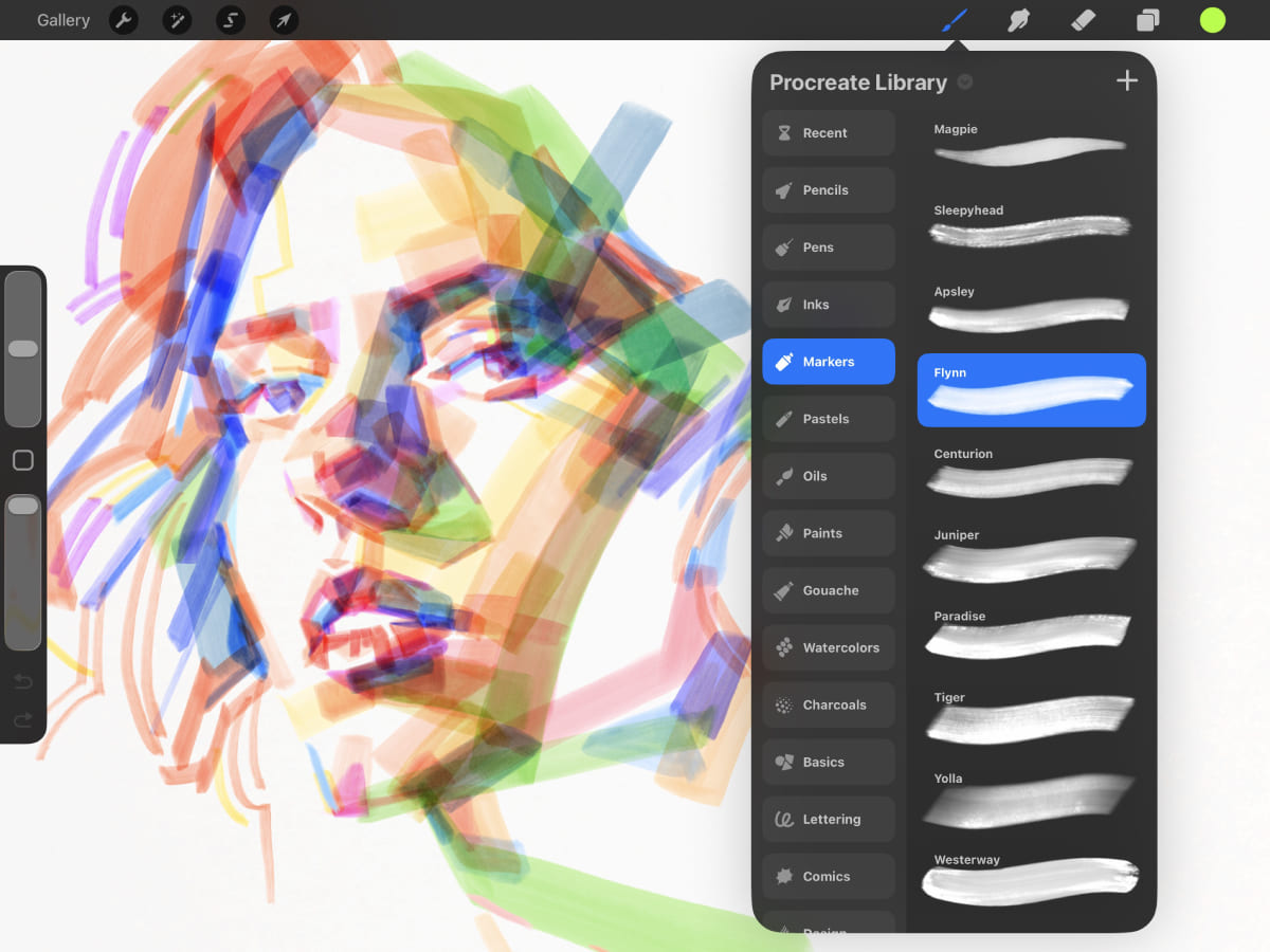 procreate digital art software