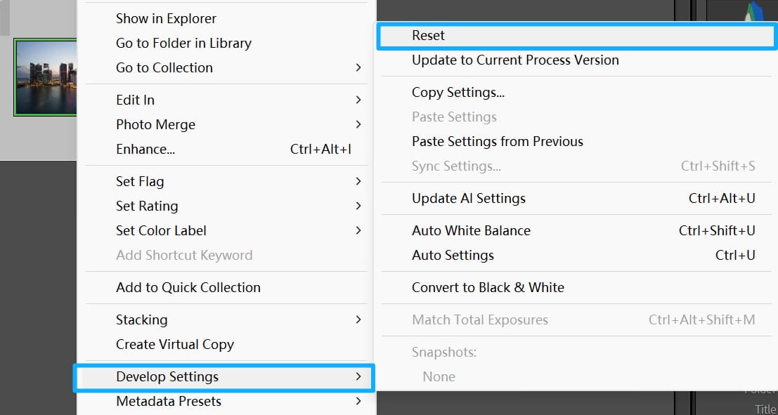 reset dng setting lightroom
