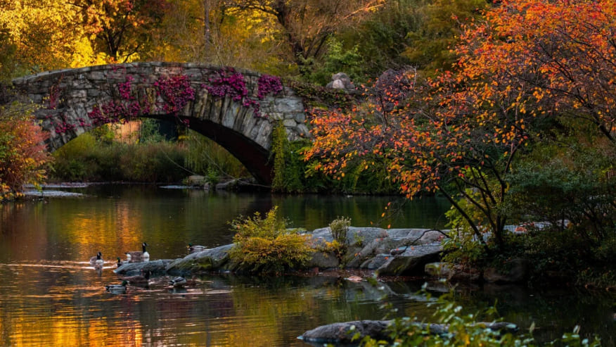 when to use cpl filters